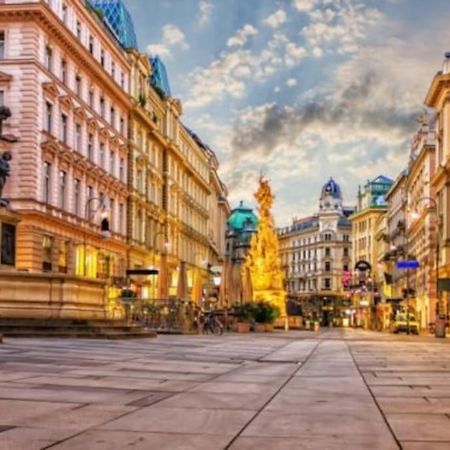 Апартаменты L'Ambitieux - Centre De Vienne Экстерьер фото